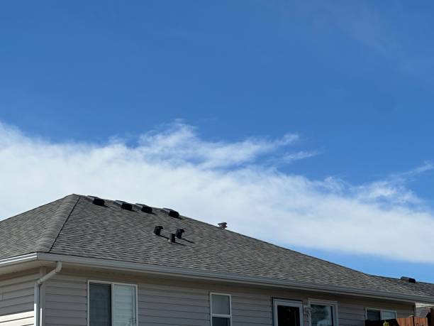 Best Solar Panel Roofing Installation  in Godfrey, IL